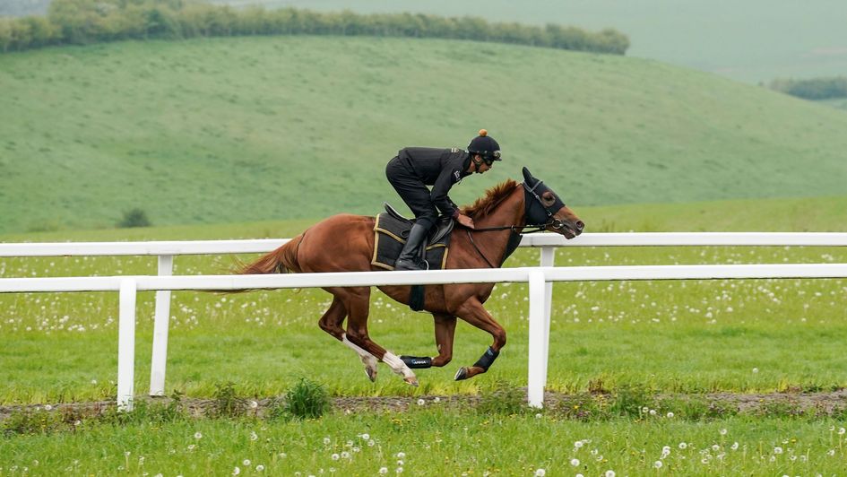 Chaldean galloping ahead of the Guineas