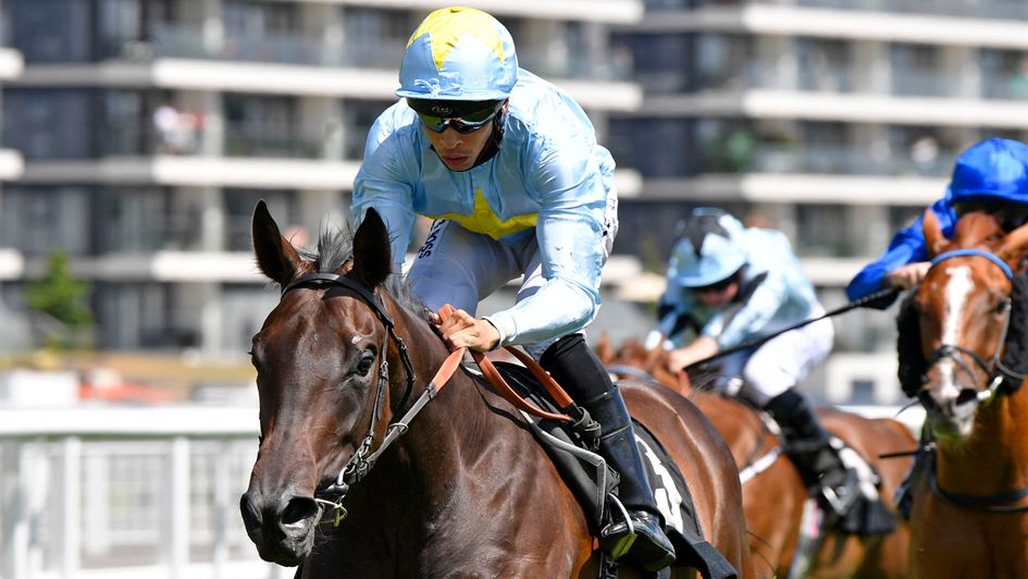 Fly Miss Helen impresses at Newbury