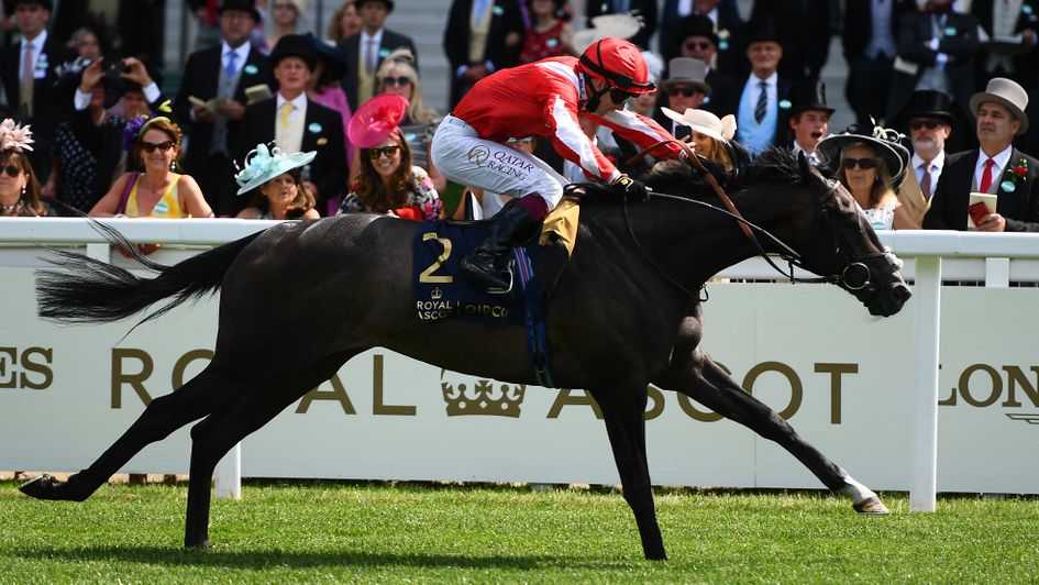 Berkshire Shadow impresses in the Coventry Stakes
