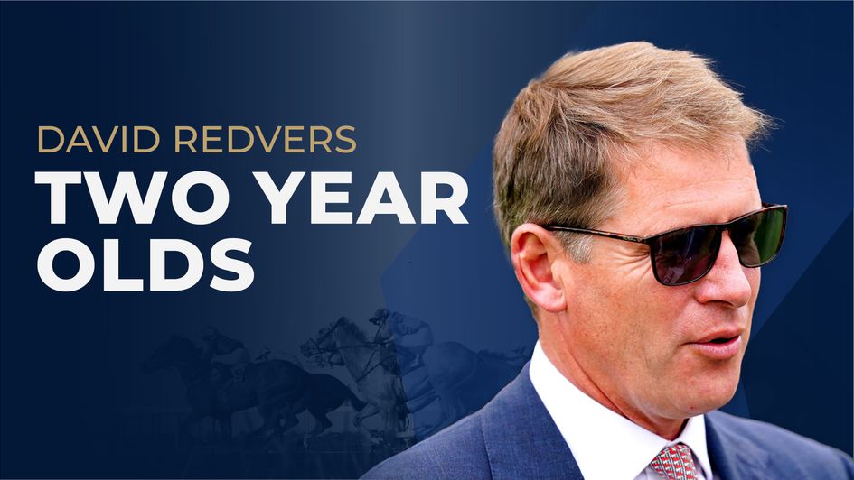 David Redvers Two-Year-Old Guide