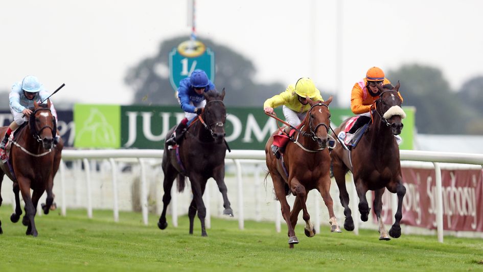 Summer Moon stays on dourly to win at York