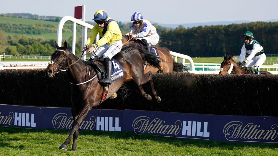 Marine Nationale wins at Punchestown