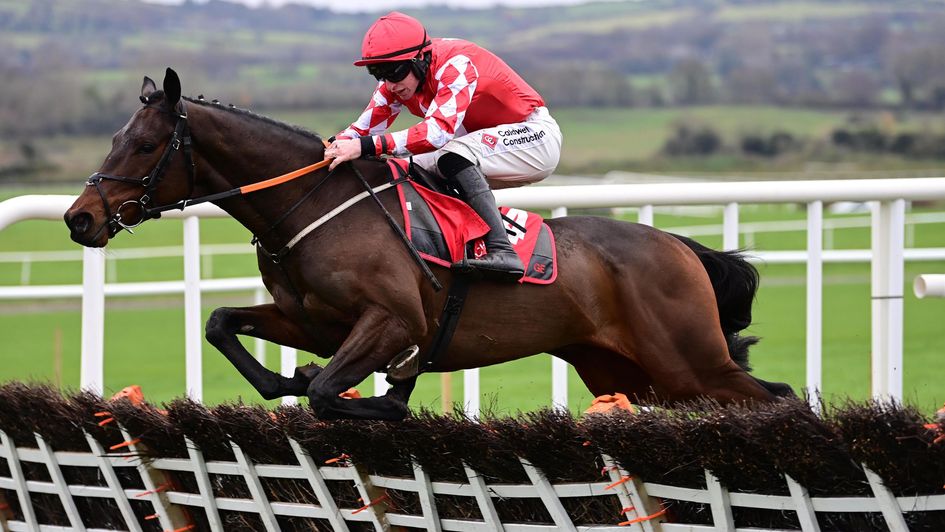 Mighty Bandit impresses at Punchestown