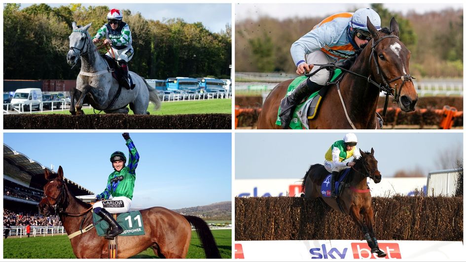 Coral Gold Cup - Horse-by-horse guide