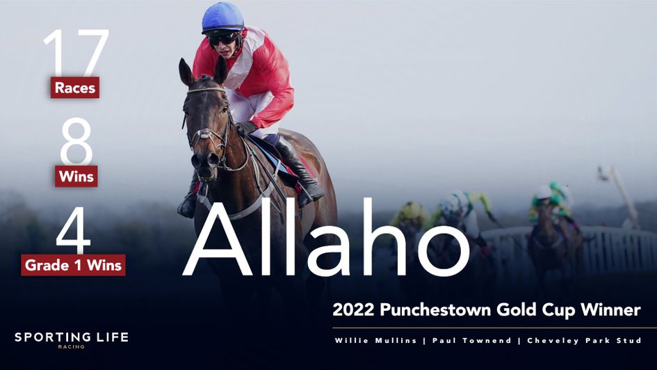 Allaho Punchestown Gold Cup winner