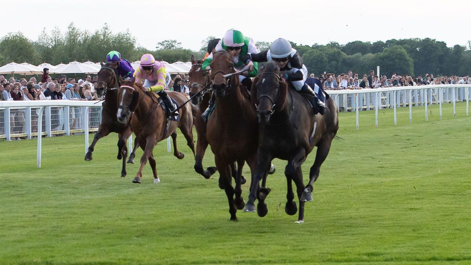 Jumbeau winning at Windsor