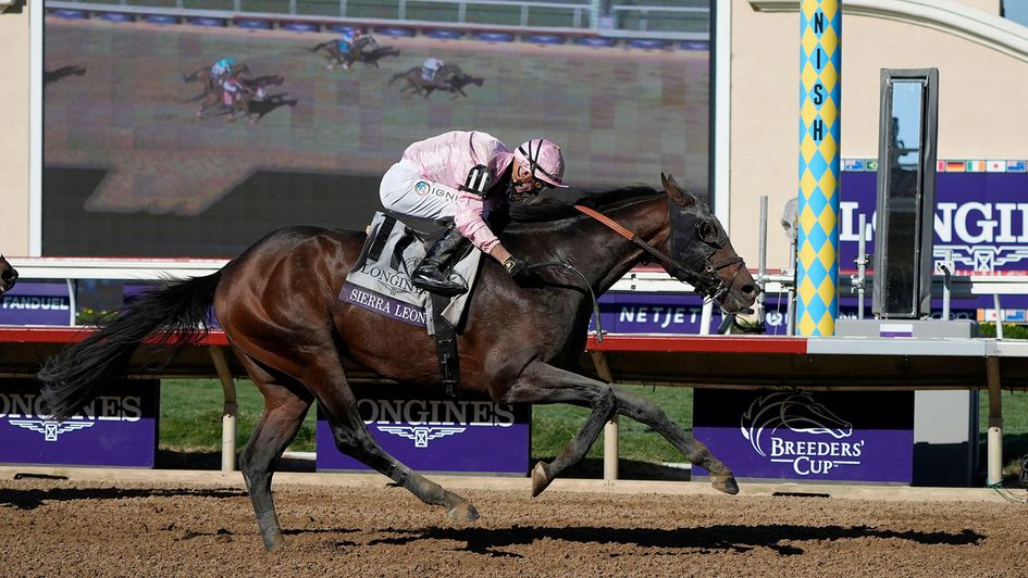 Sierra Leone wins the Breeders' Cup Classic at Del Mar