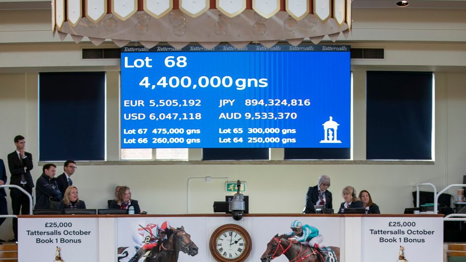 The screen says it all (Photo courtesy of Tattersalls)