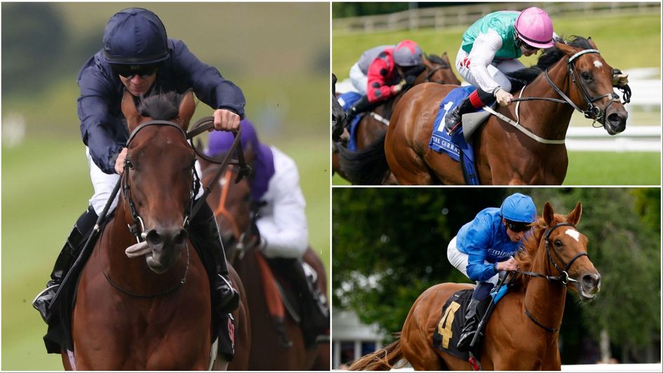 Some of the 2024 juvenile stars so far: Henri Matisse, Babouche and Desert Flower