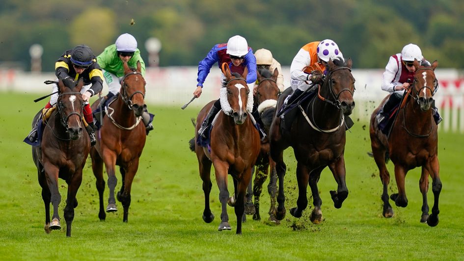 General Panic (far left) wins at Doncaster