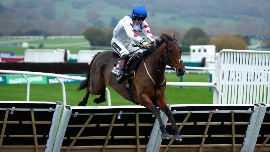 Potter's Charm wins at Cheltenham