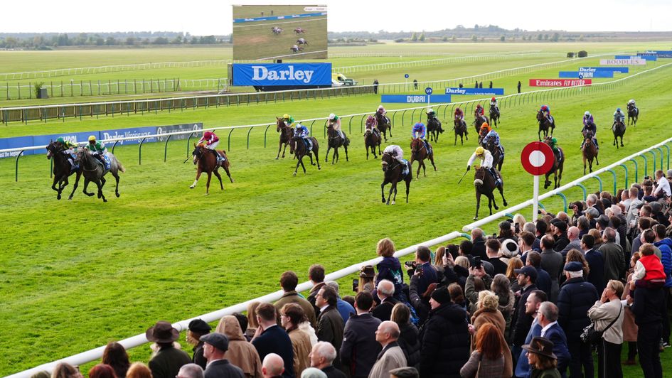 Is the Cesarewitch finishing order the history books will record?