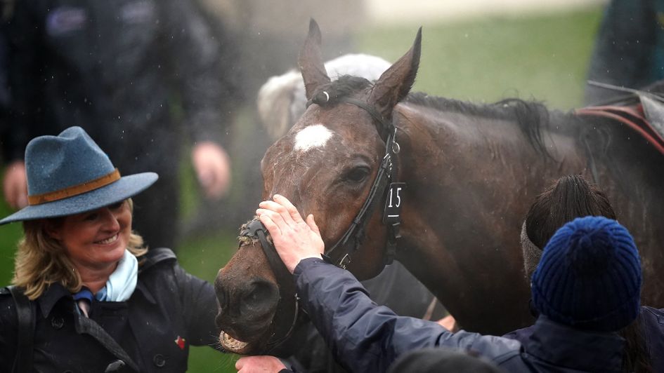 Tiger Roll was given a great reception after finishing runner-up on the final start of his career