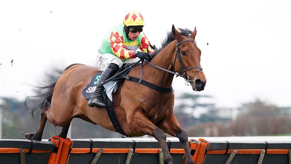 Doctor Parnassus impresses at Ascot