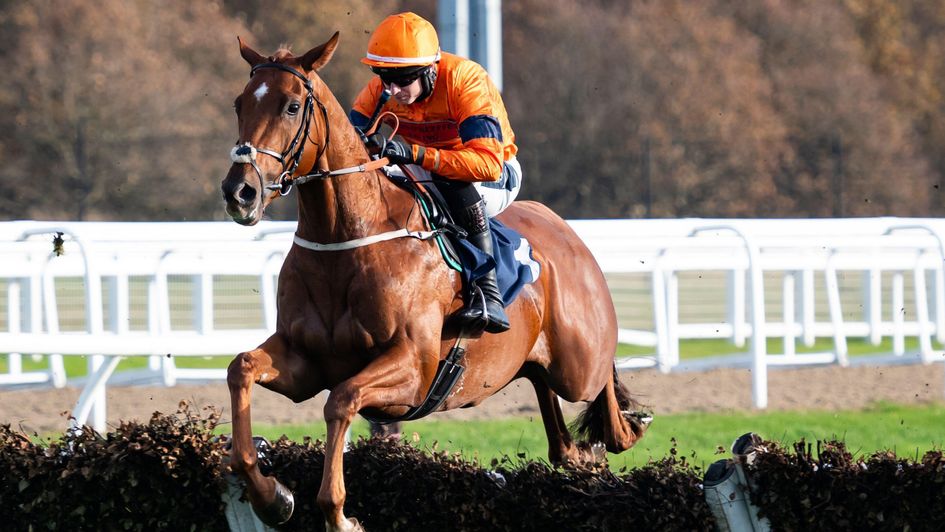 Inappropriate on his way to a winning hurdling debut