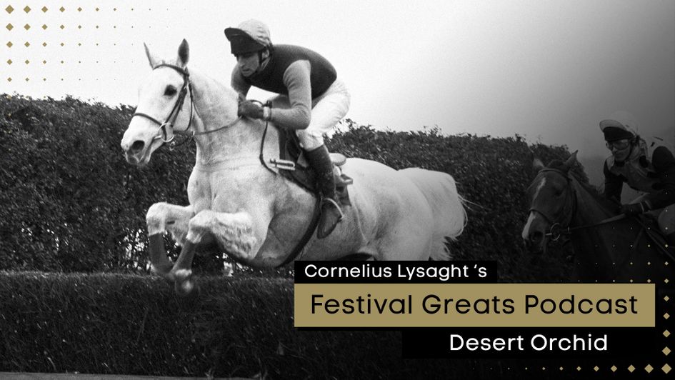 Desert Orchid: Festival Greats Podcast