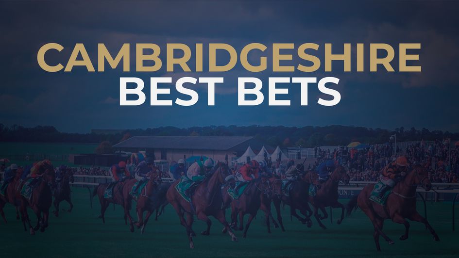 bet365 Cambridgeshire tips for Saturday