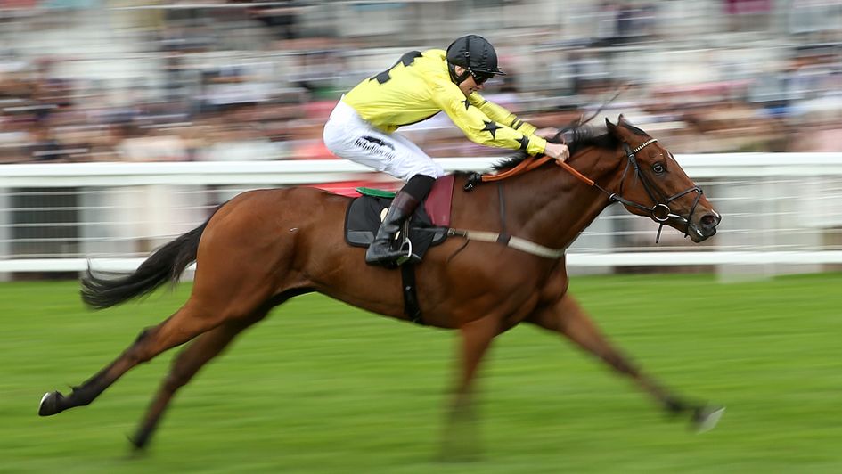 Gold Mount - known as Primitivo - winning at Royal Ascot