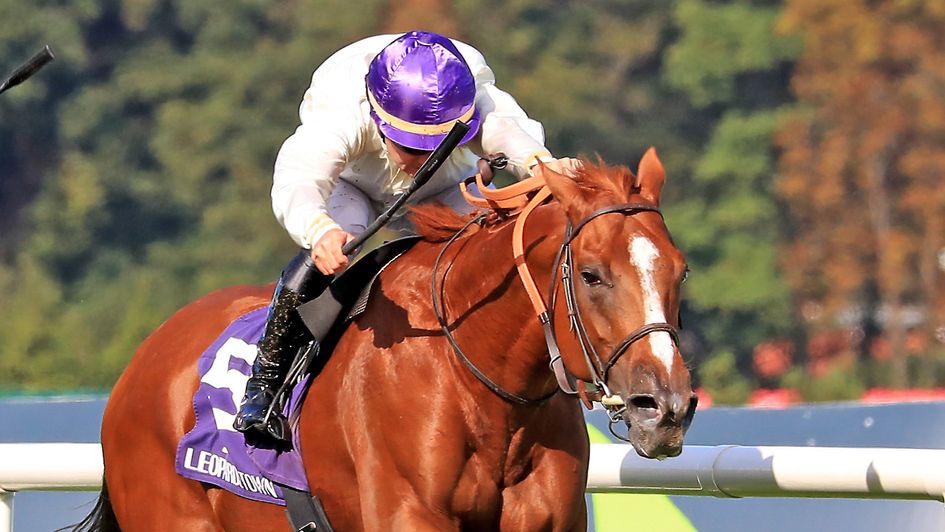 Onesto was a fine second in the Irish Champion Stakes