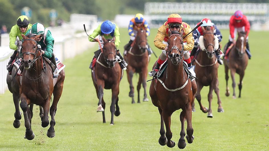 Gold Mount wins the Sky Bet Grand Cup