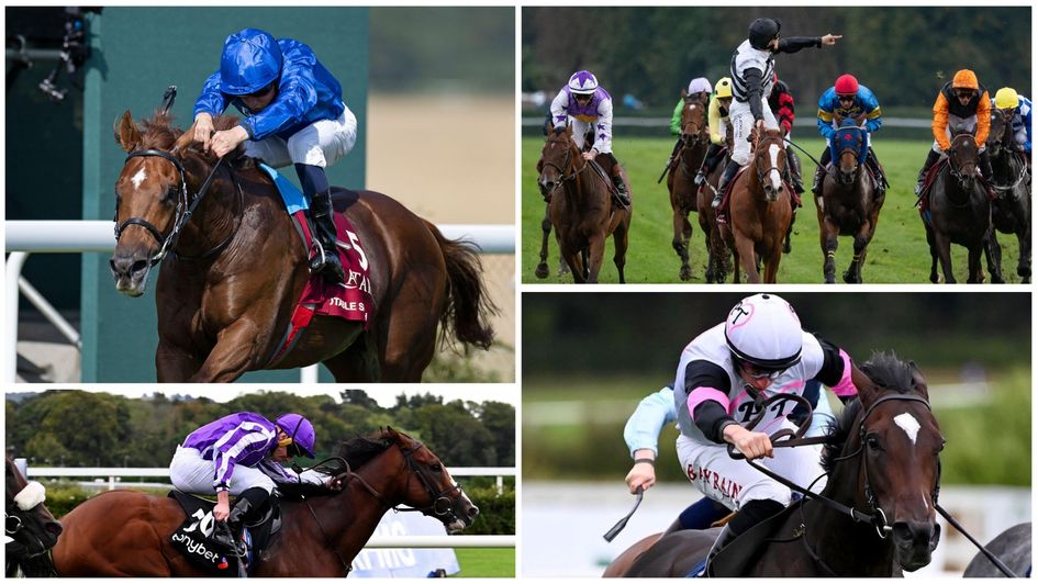 Breeders' Cup Mile contenders