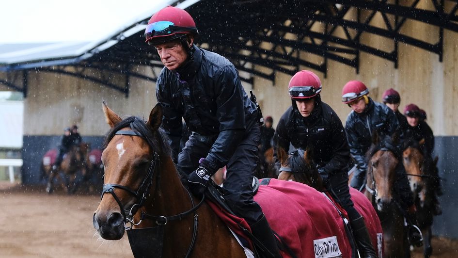 City of Troy warms up at Ballydoyle (Credit: John Hoy/The Jockey Club)