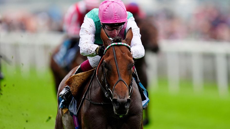 Windlord in full flow