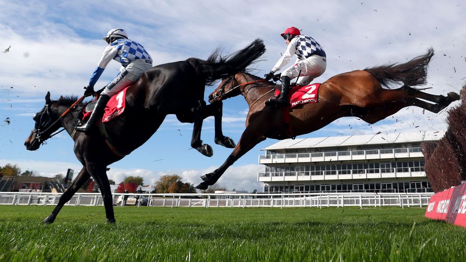 Galvin tracking Doctor Duffy at Cheltenham