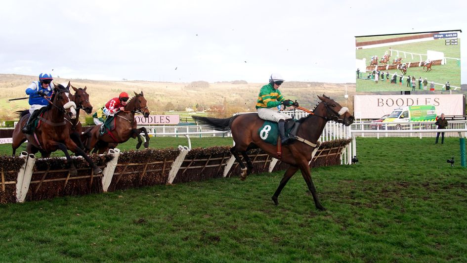 Iroko winning at the Cheltenham Festival