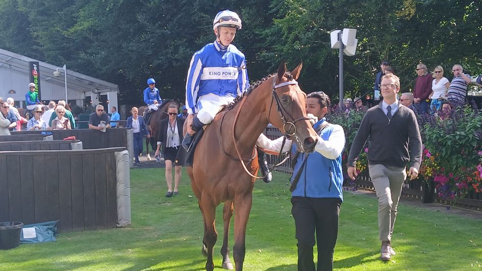 The Lost King returns victorious at Newmarket