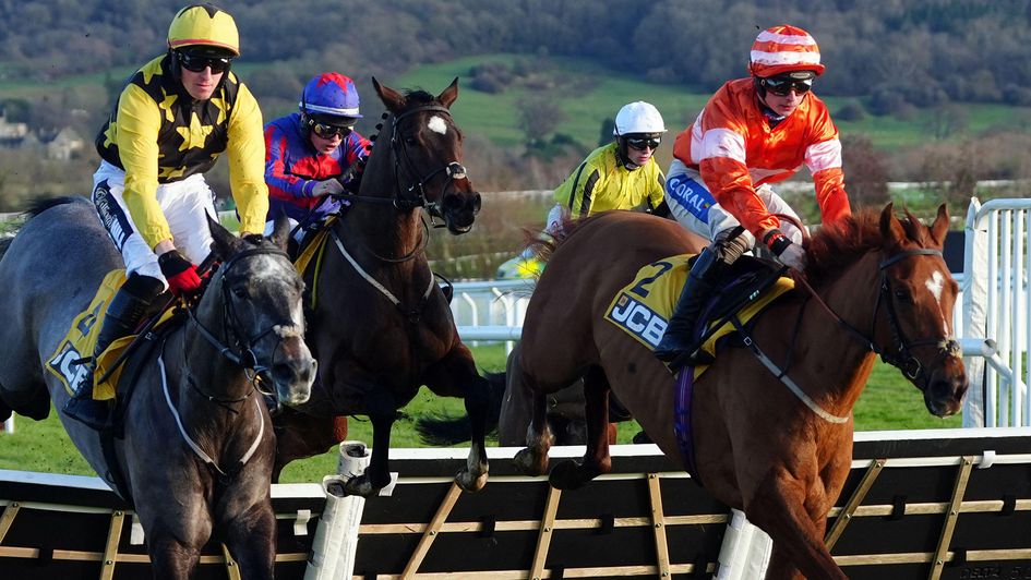 Teriferma (right) ridden by Sean Bowen