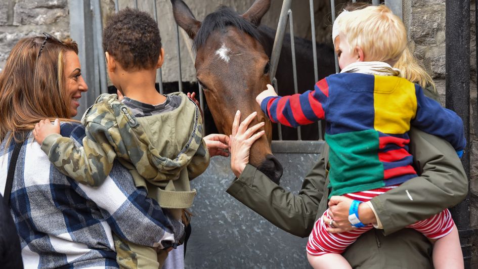 National Racehorse Week (Hannah Ali Photography)