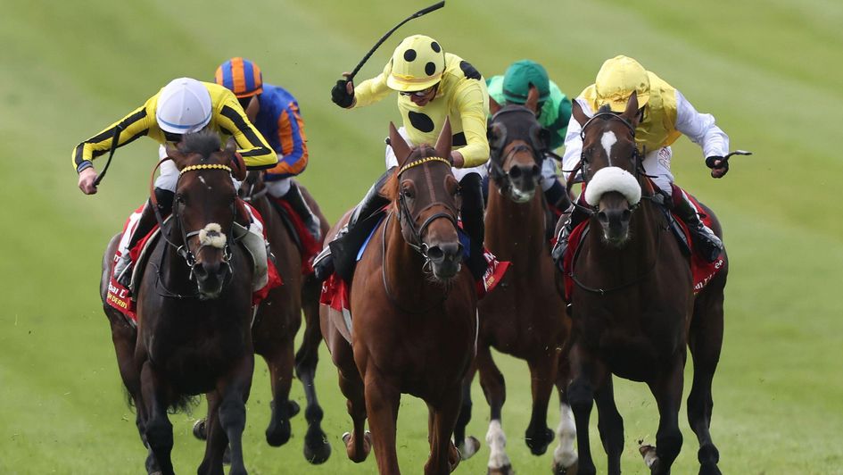 Ambiente Friendly, Matsuri and Sunway contest the Irish Derby