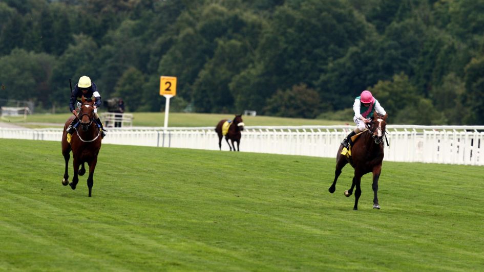 Nathaniel (left) wins the King George as Rewilding sadly pulls up in the background