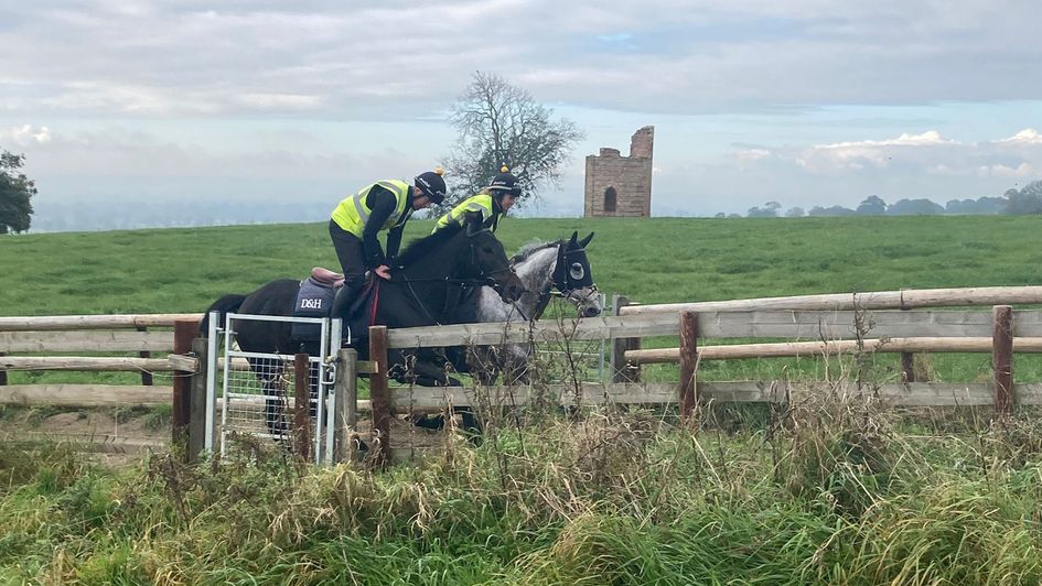 Clan Dea Obeaux works his way up the gallops