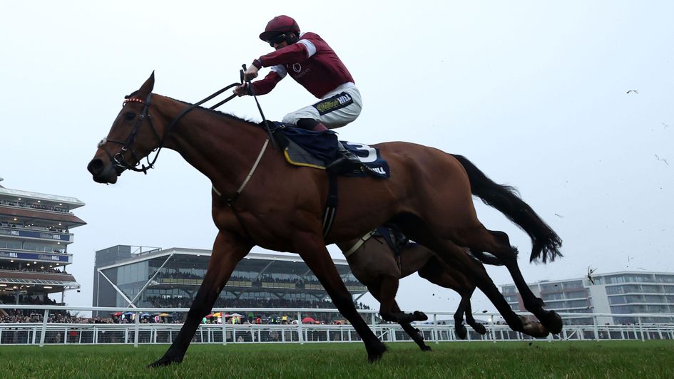 Master Chewy wins the Game Spirit