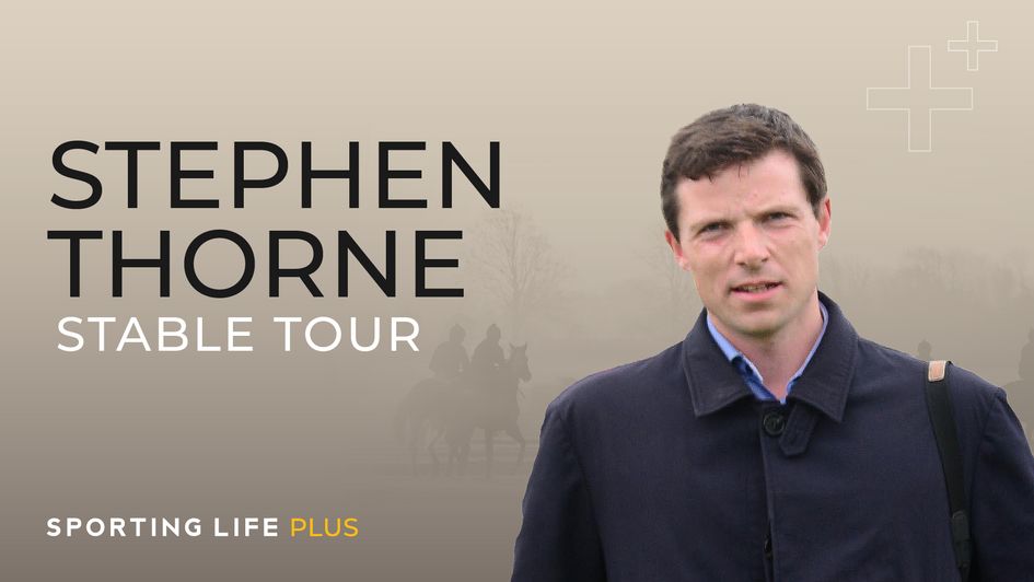 Stephen Thorne Stable Tour