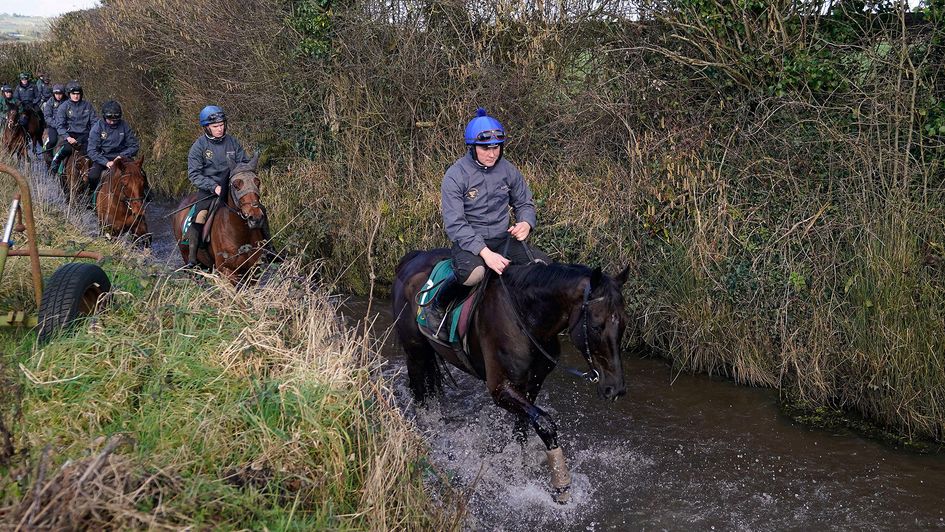 Galopin Des Champs enjoys a splash in the stream at Closutton