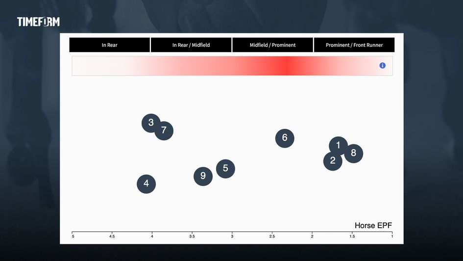 Betfair Chase pace map