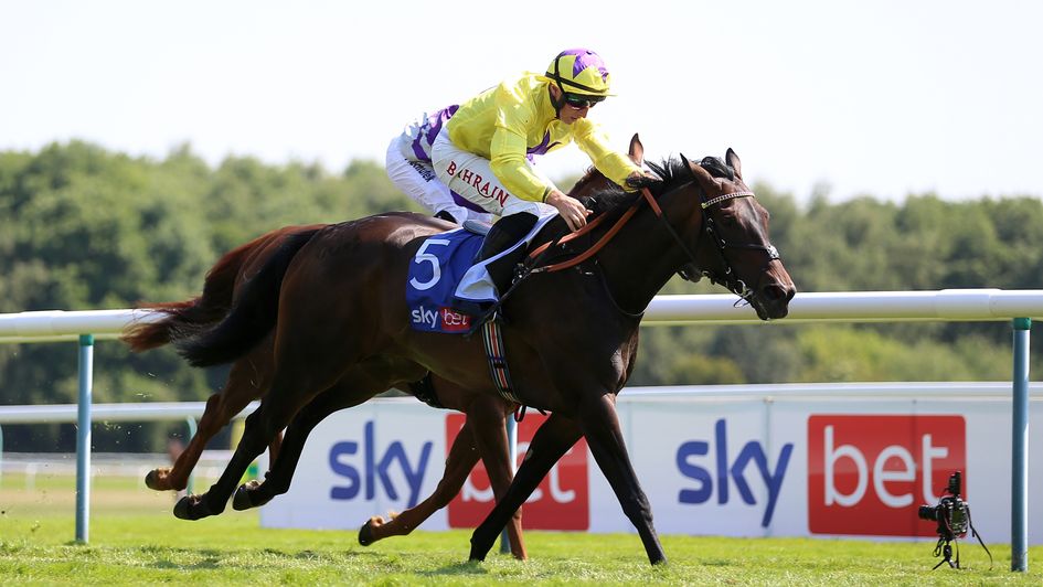 Sea Silk Road scores at Haydock