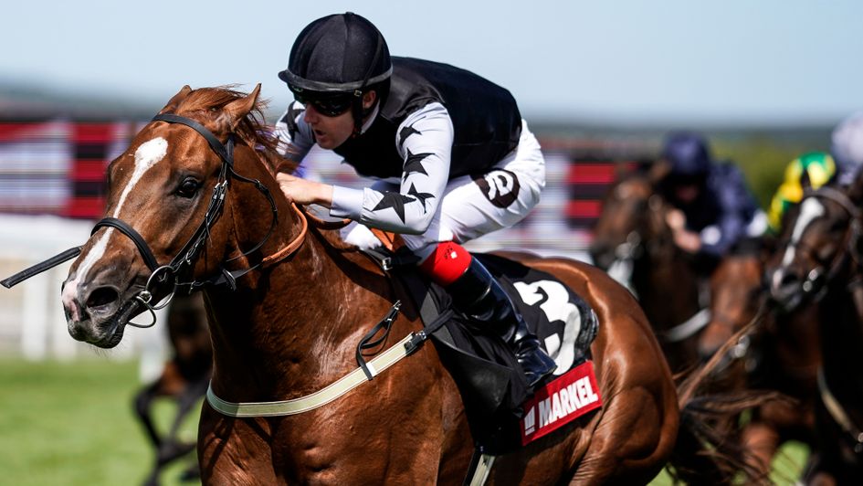 Rumble Inthejungle wins the Molecomb