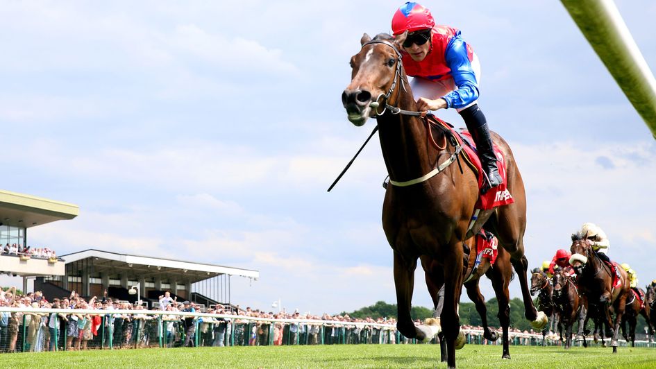 Nellie Leylax wins at Haydock