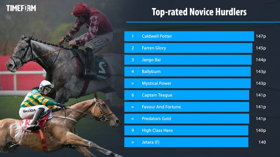 Timeform's top novice hurdlers