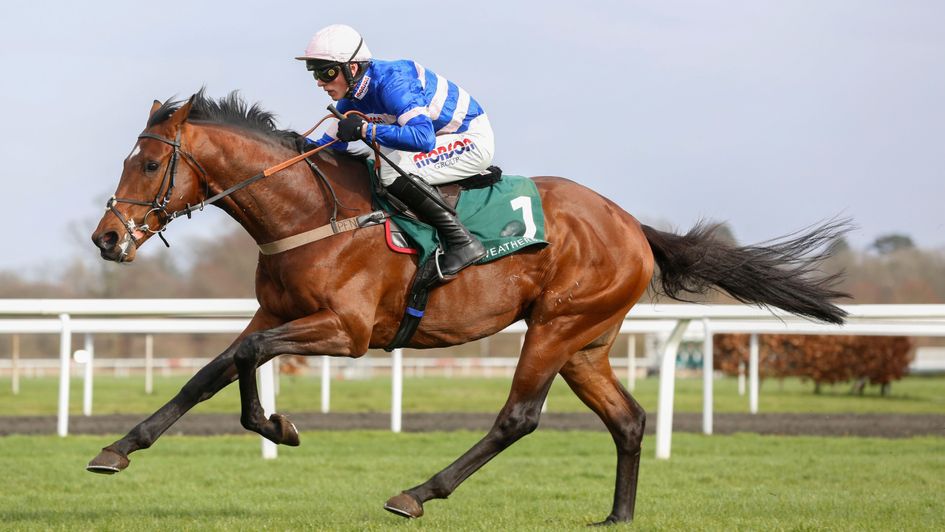 Solo - ready to shine at Wincanton