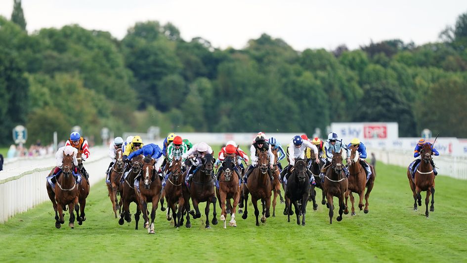 Who is the horse to take from the 2023 Sky Bet Ebor?