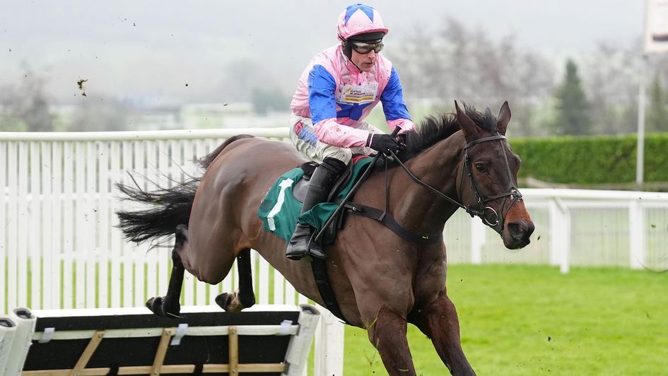 Country Mile jumps to victory at Cheltenham