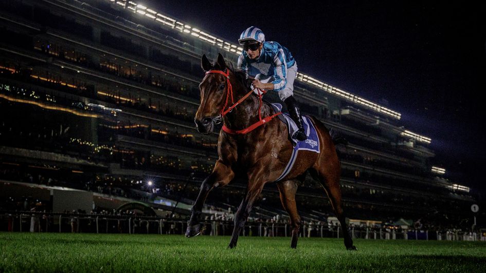 Romantic Warrior conquers Dubai in the Jebel Hatta