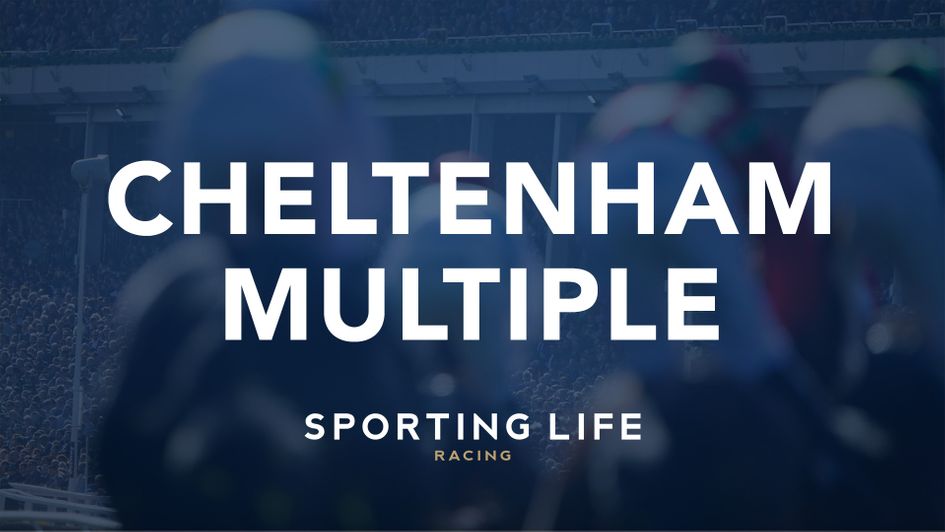 Check out our Willie Mullins Cheltenham Lucky 15