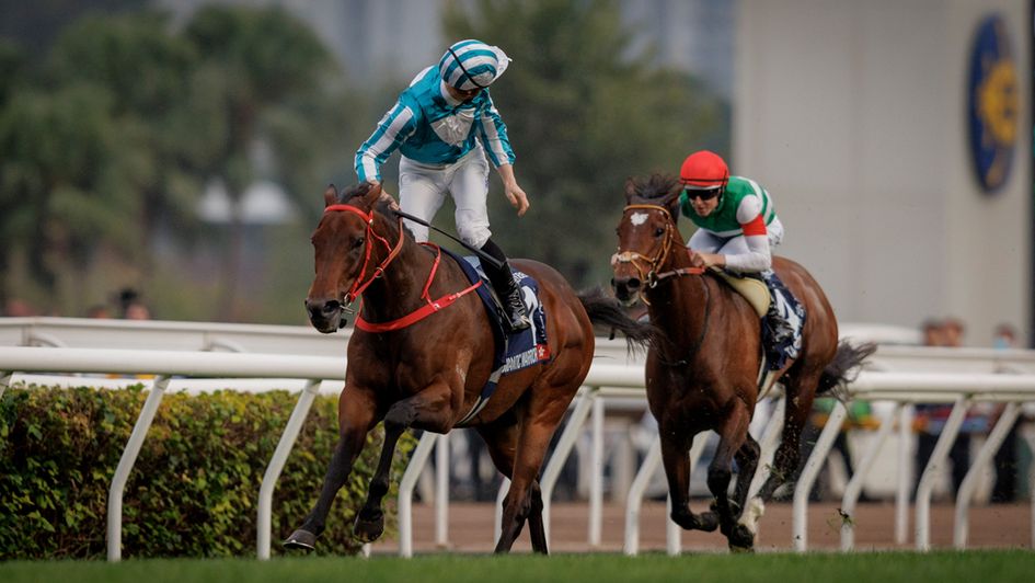 James McDonald looks around on Romantic Warrior (image courtesy of HKJC)