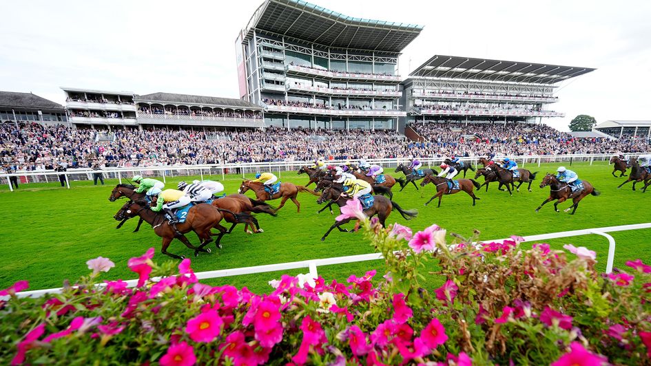 JM Jungle wins the opening race of the 2024 Ebor Festival